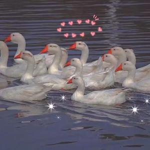 成人❌吸乳18禁羞羞网站直接看
