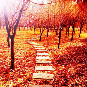 成人❌吸乳18禁羞羞网站直接看
